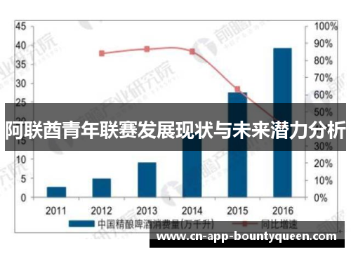 阿联酋青年联赛发展现状与未来潜力分析